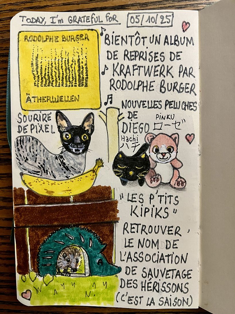 Diario de gratitud: octubre de 2025 1