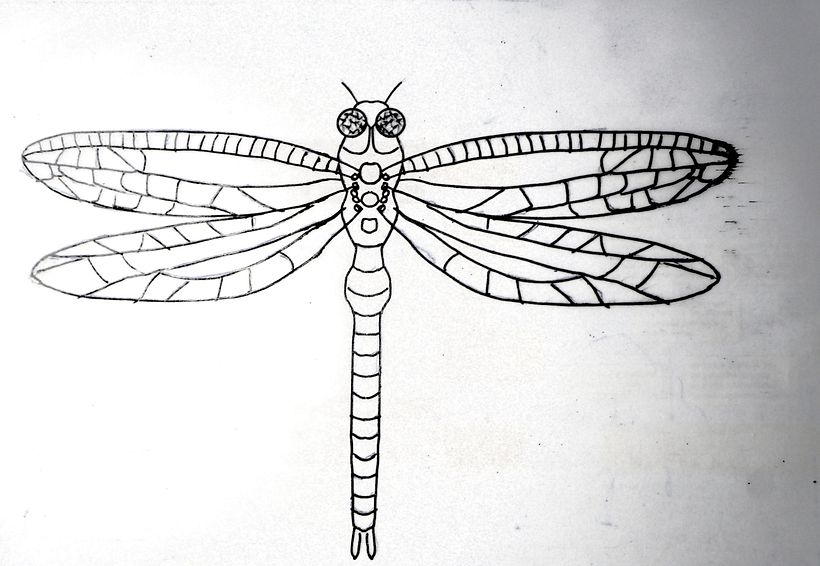 Printmaking : dragonfly 2