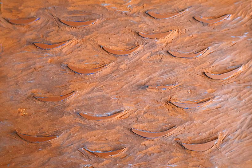 Printmaking : dragonfly 6