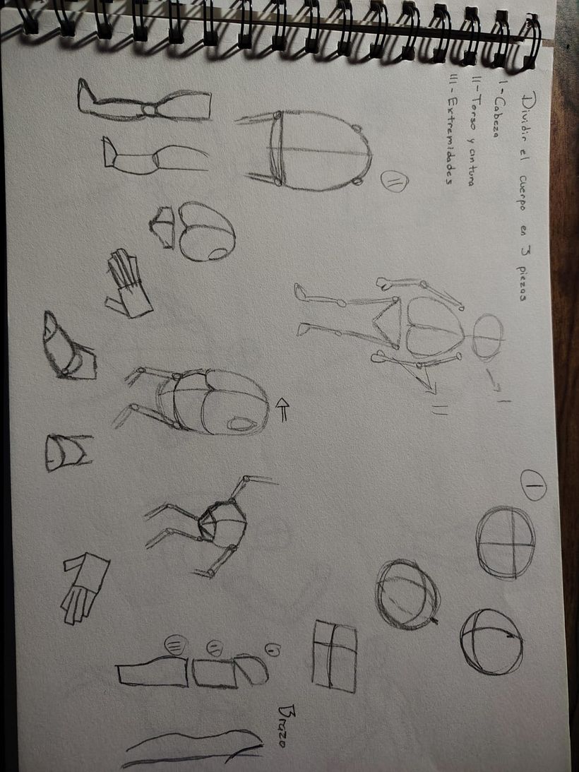 Cazadores de bestias 1