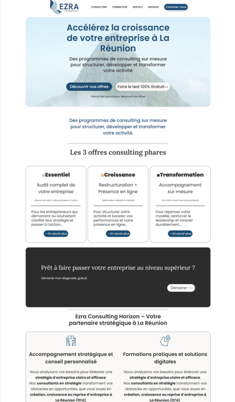 SITE WEB CONSULTING 1