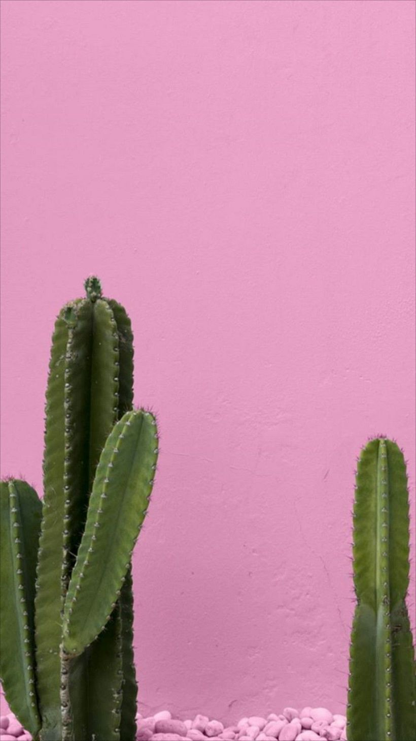 ARQUITECTURA MEXICANA  1