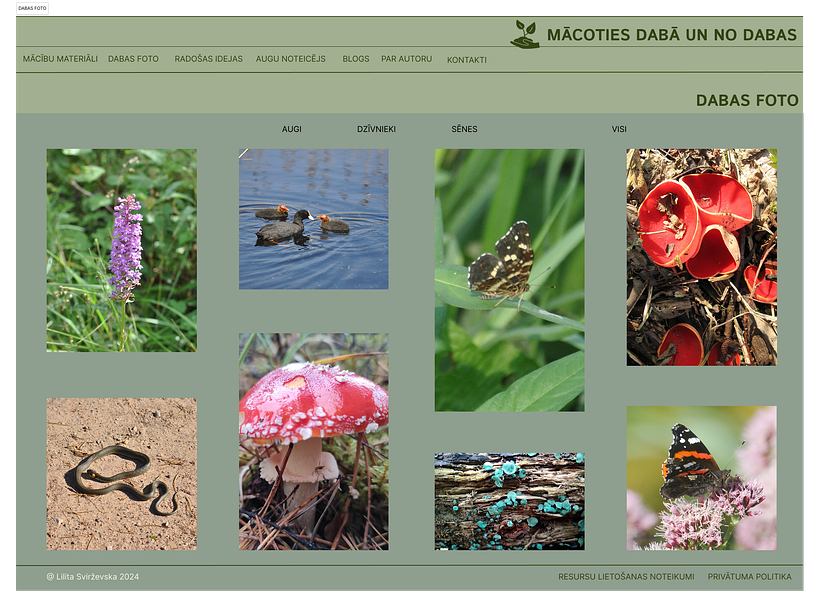 A Webpage for a Natural Science Teacher to Showcase Her Resources 1