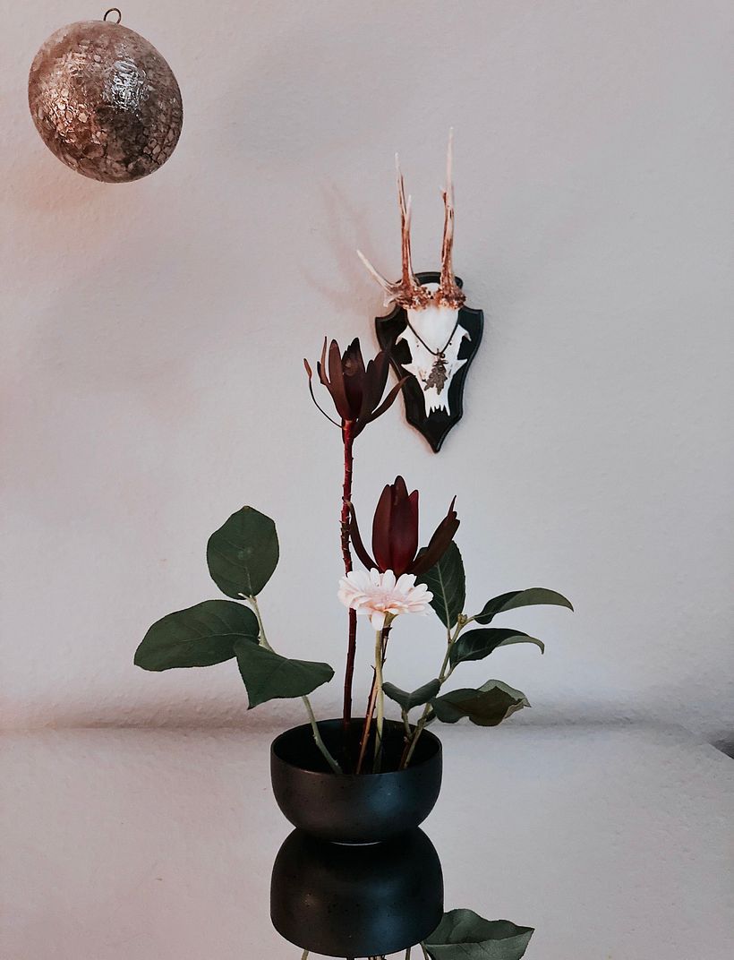 Christmas upcoming  1