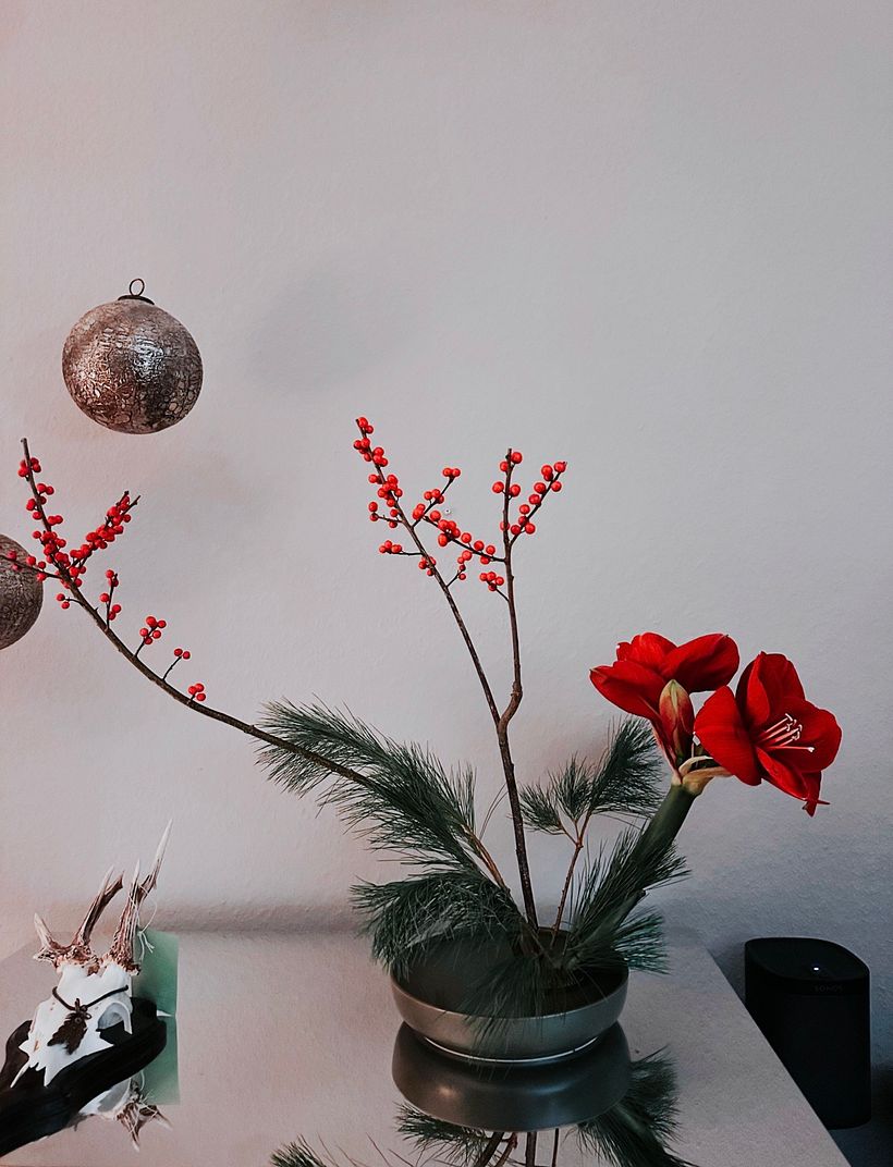 Christmas upcoming  1