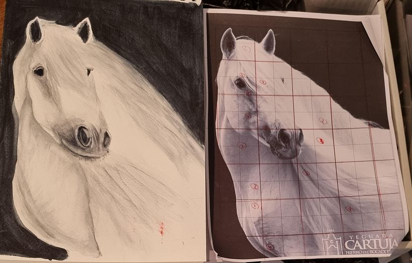 Watercolour Animals 1