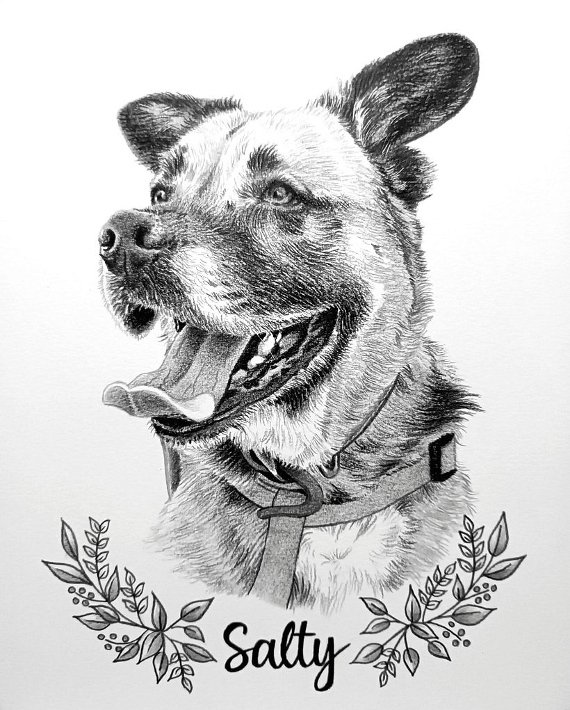 Retratos de mascotas en grafito y carboncillo 1