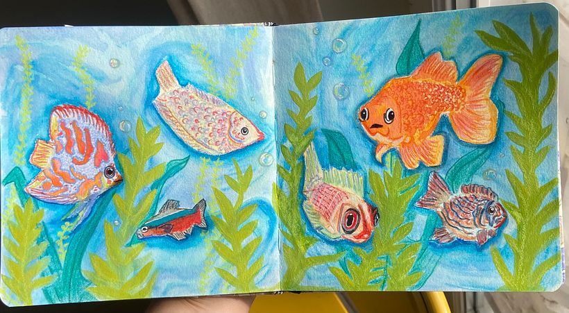 Poisson coloré  1