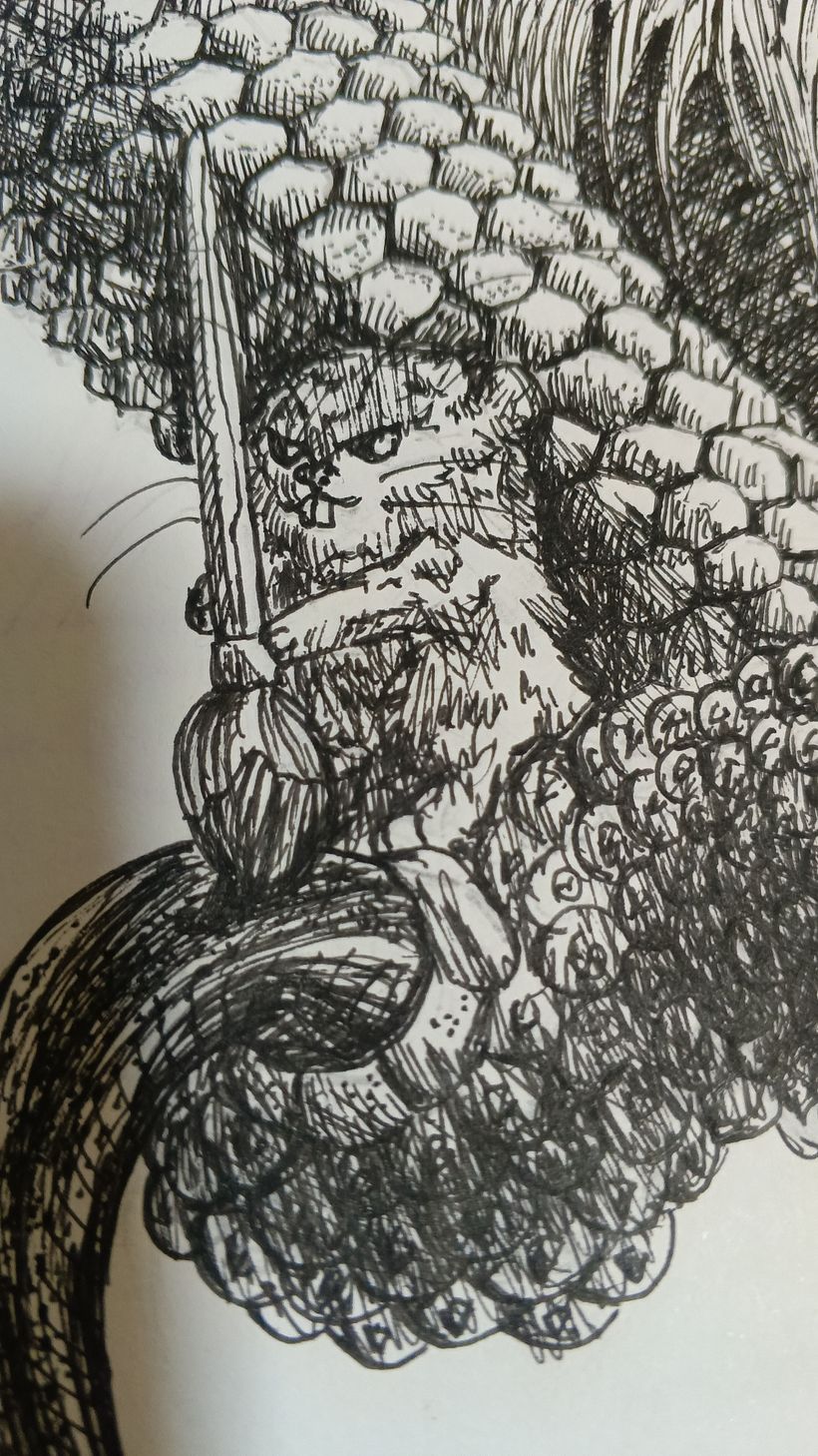 Limpieza no alimento 1