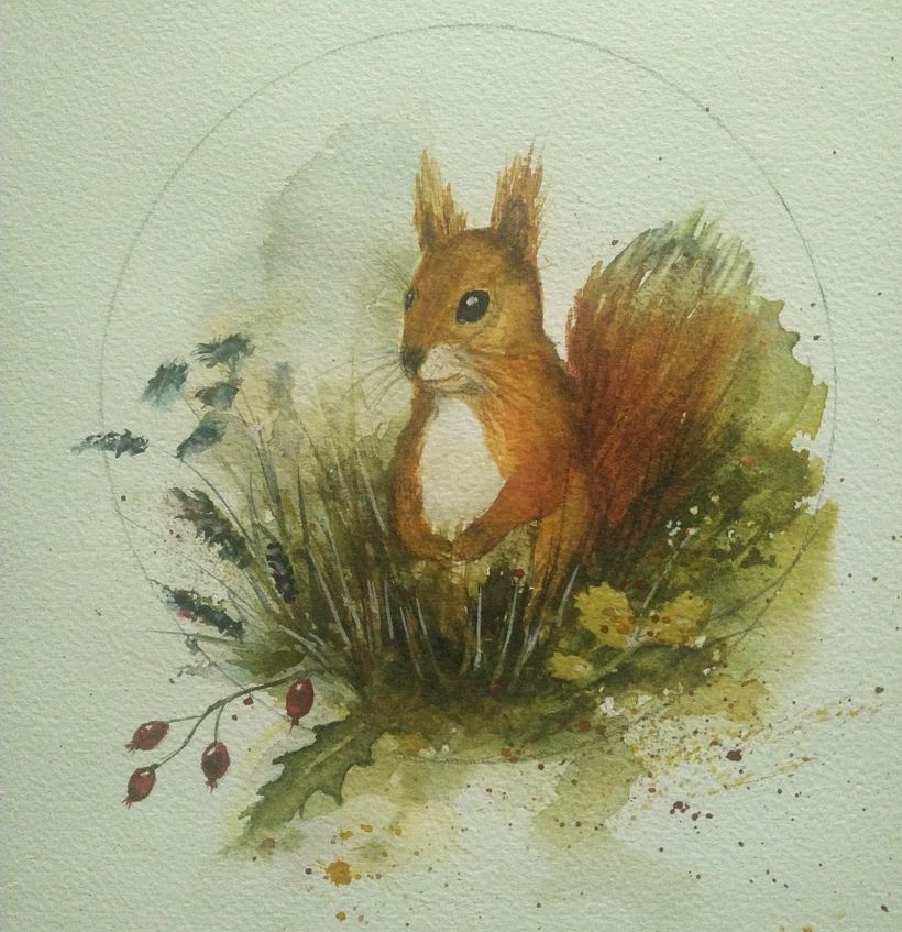 Squirrel for a little boy  1
