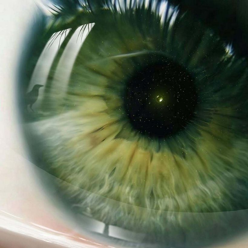 December live: a month to learn, create and share 4