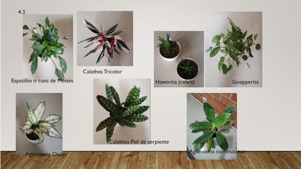 Mi espacio relajante 1