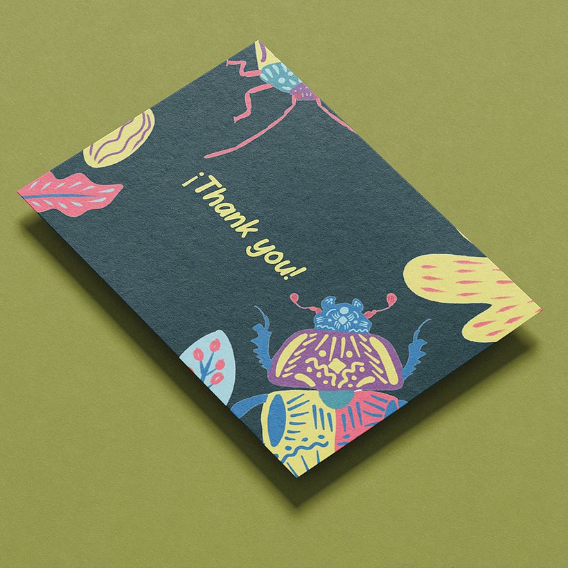 Colección Ethnobug 1