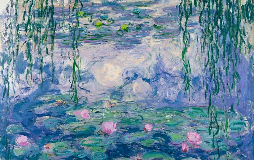 El jardín de "¡Dame!" de Claude Mham-Mhamonet 1