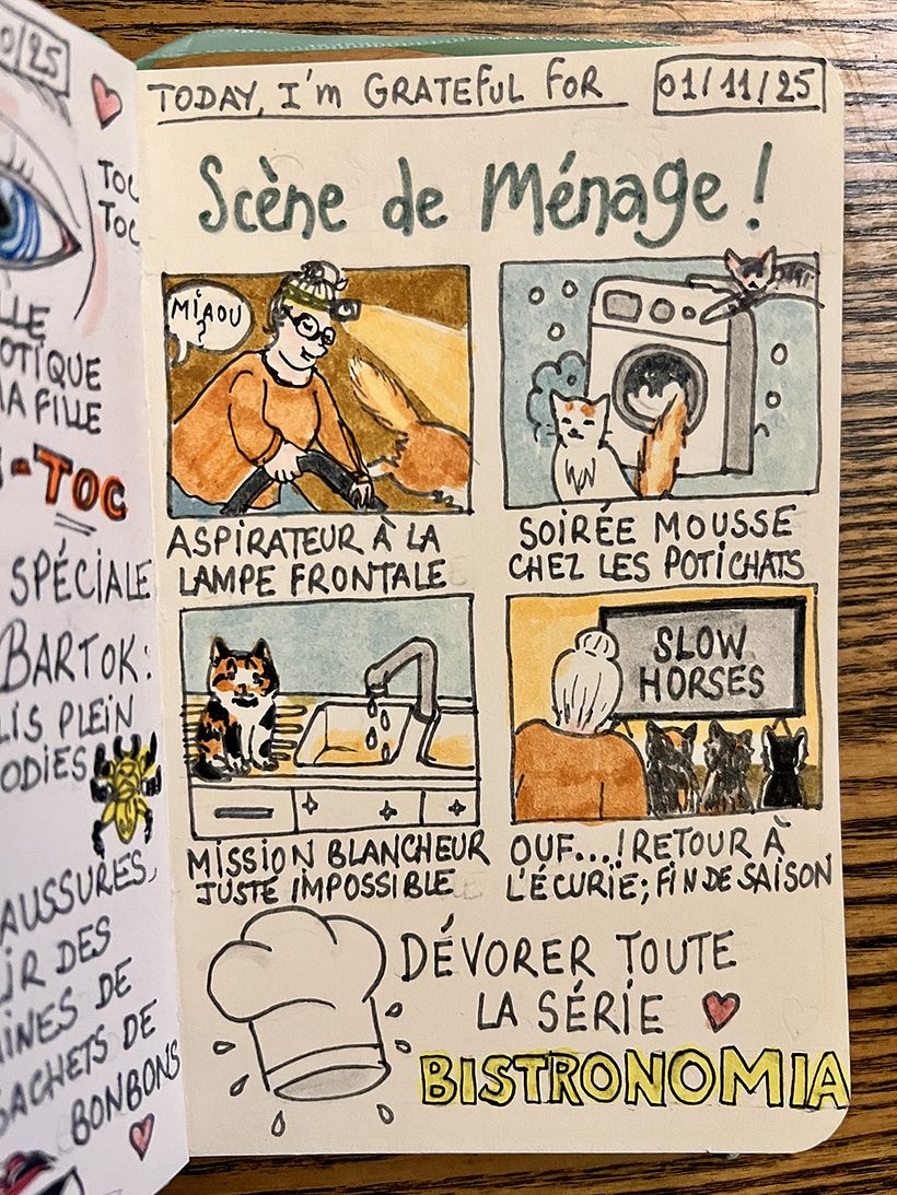Carnet de gratitude : November 2025 1