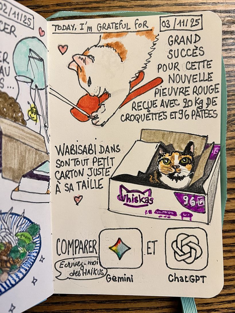 Carnet de gratitude : November 2025 1