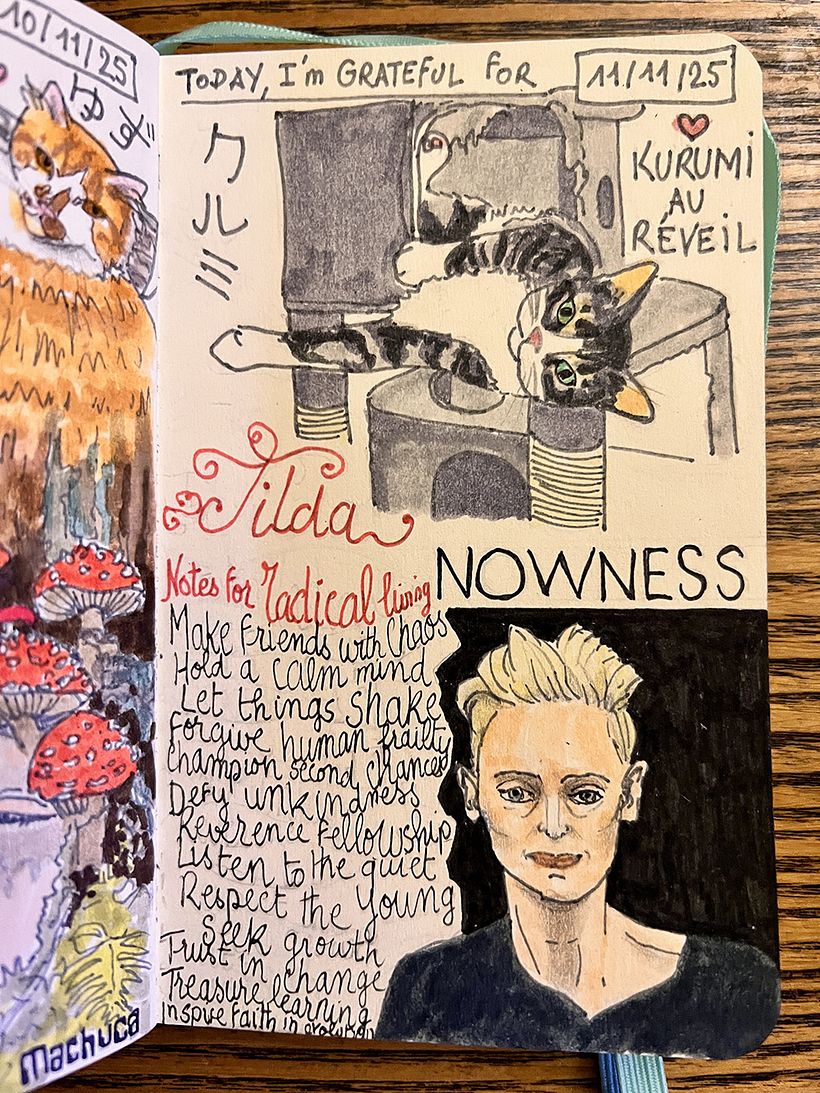 Carnet de gratitude : November 2025 1