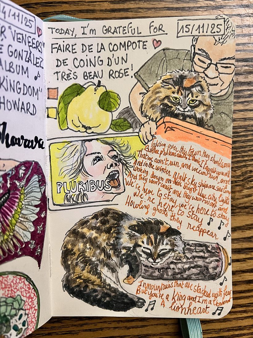 Carnet de gratitude : November 2025 1