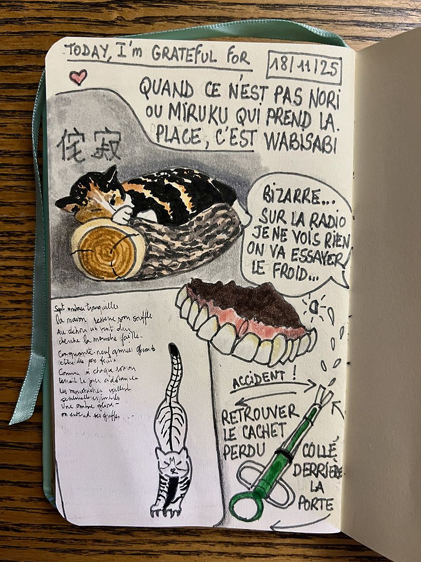 Carnet de gratitude : November 2025 1