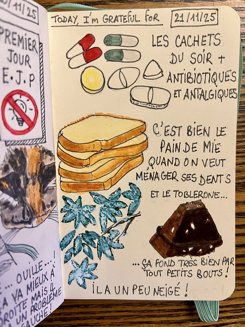 Carnet de gratitude : November 2025 1