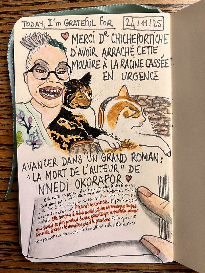 Carnet de gratitude : November 2025 1