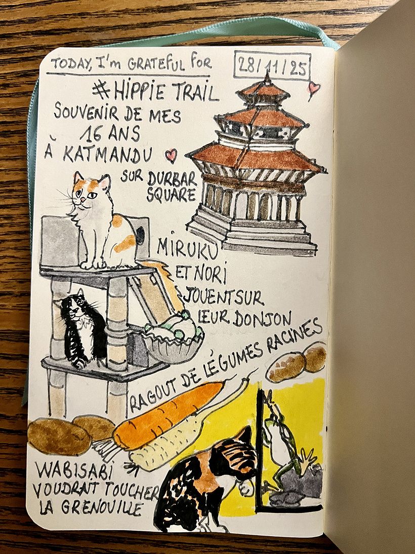 Carnet de gratitude : November 2025 1