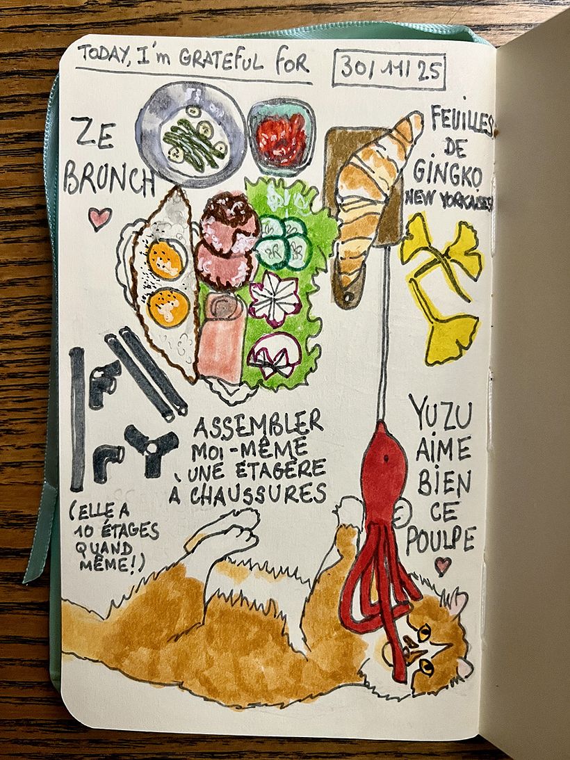 Carnet de gratitude : November 2025 1