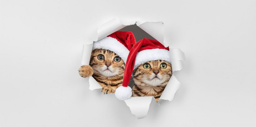 Creative family projects for the holidays: craft, drawing, cooking and photography ideas 5