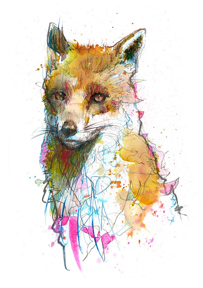 The Neon Fox 1