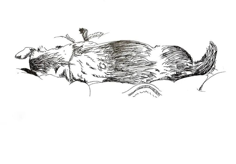 Daily sketches 1