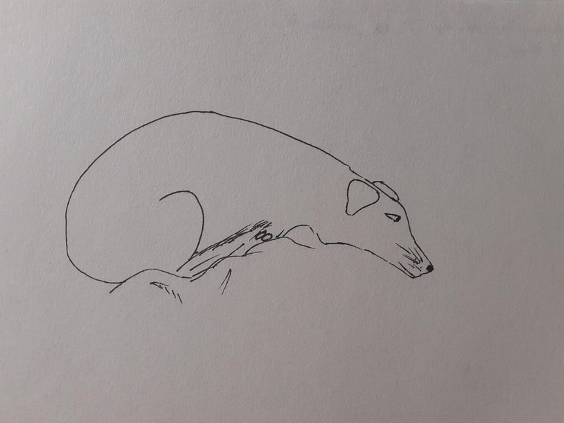 Daily sketches 4