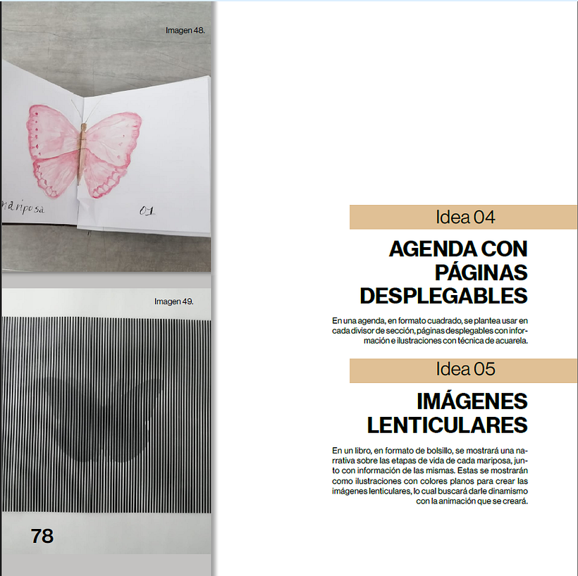 Mariposas urbanas de Cuenca 2