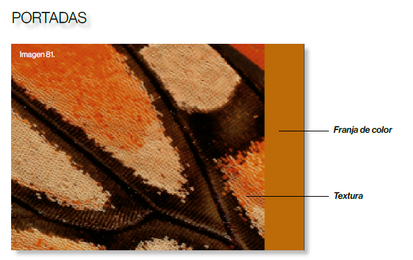 Mariposas urbanas de Cuenca 5
