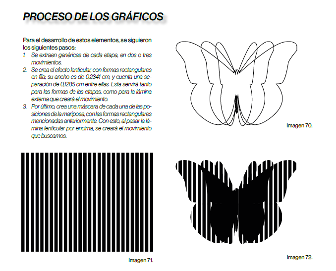 Mariposas urbanas de Cuenca 5
