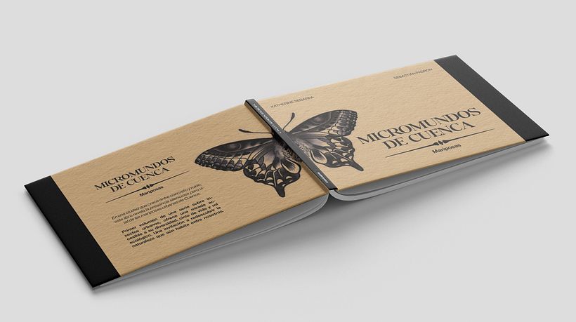 Mariposas urbanas de Cuenca 5