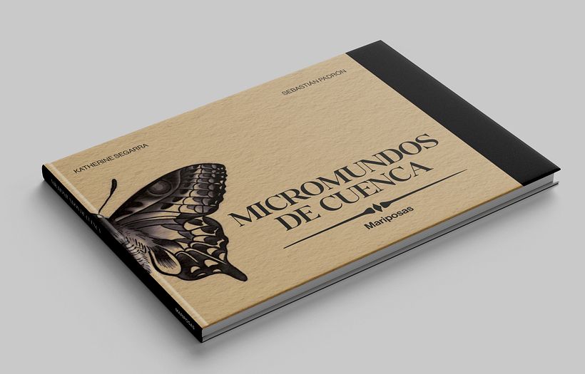 Mariposas urbanas de Cuenca 1