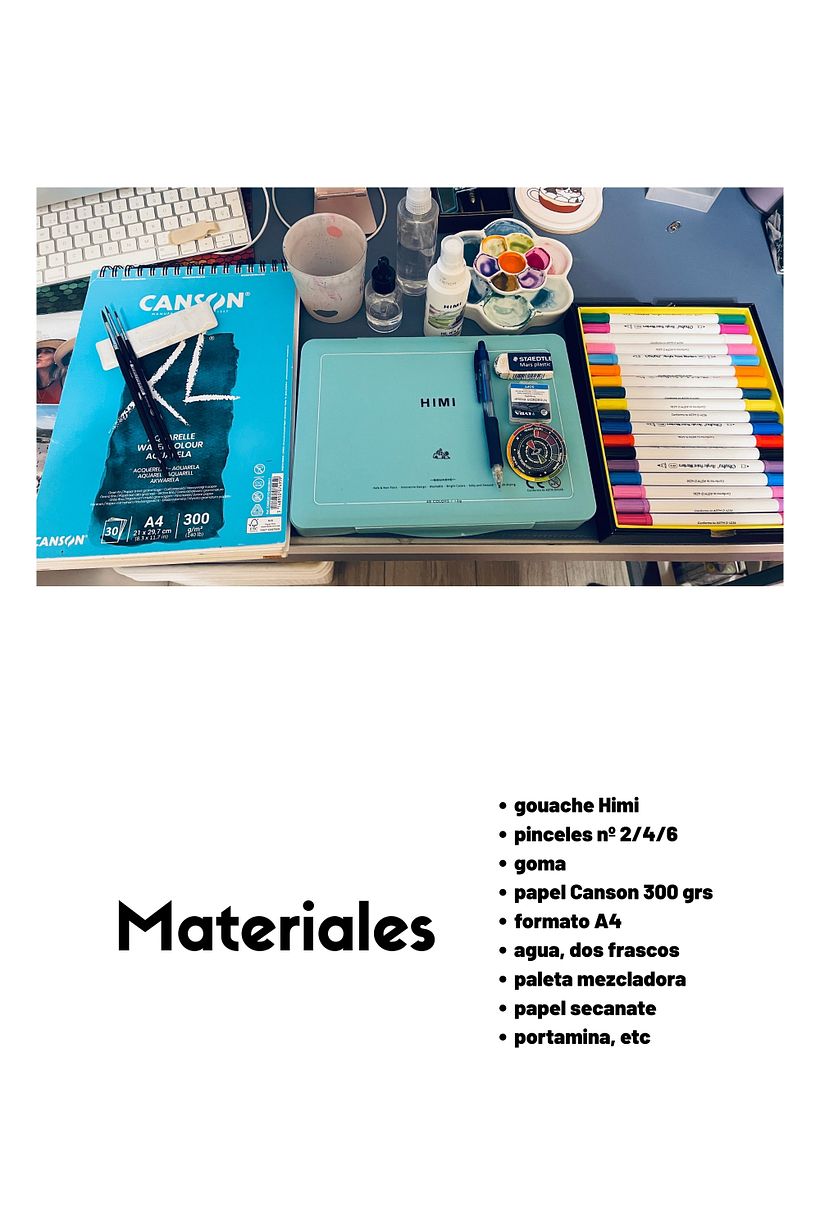 Mapache Incógnito 1