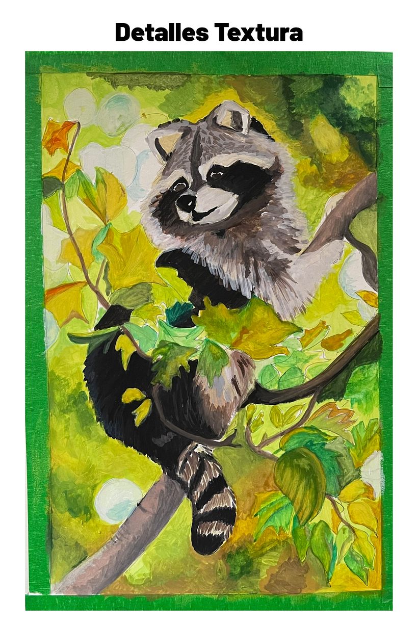 Mapache Incógnito 2