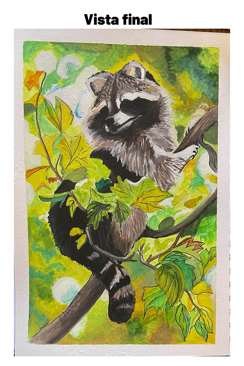 Mapache Incógnito 1