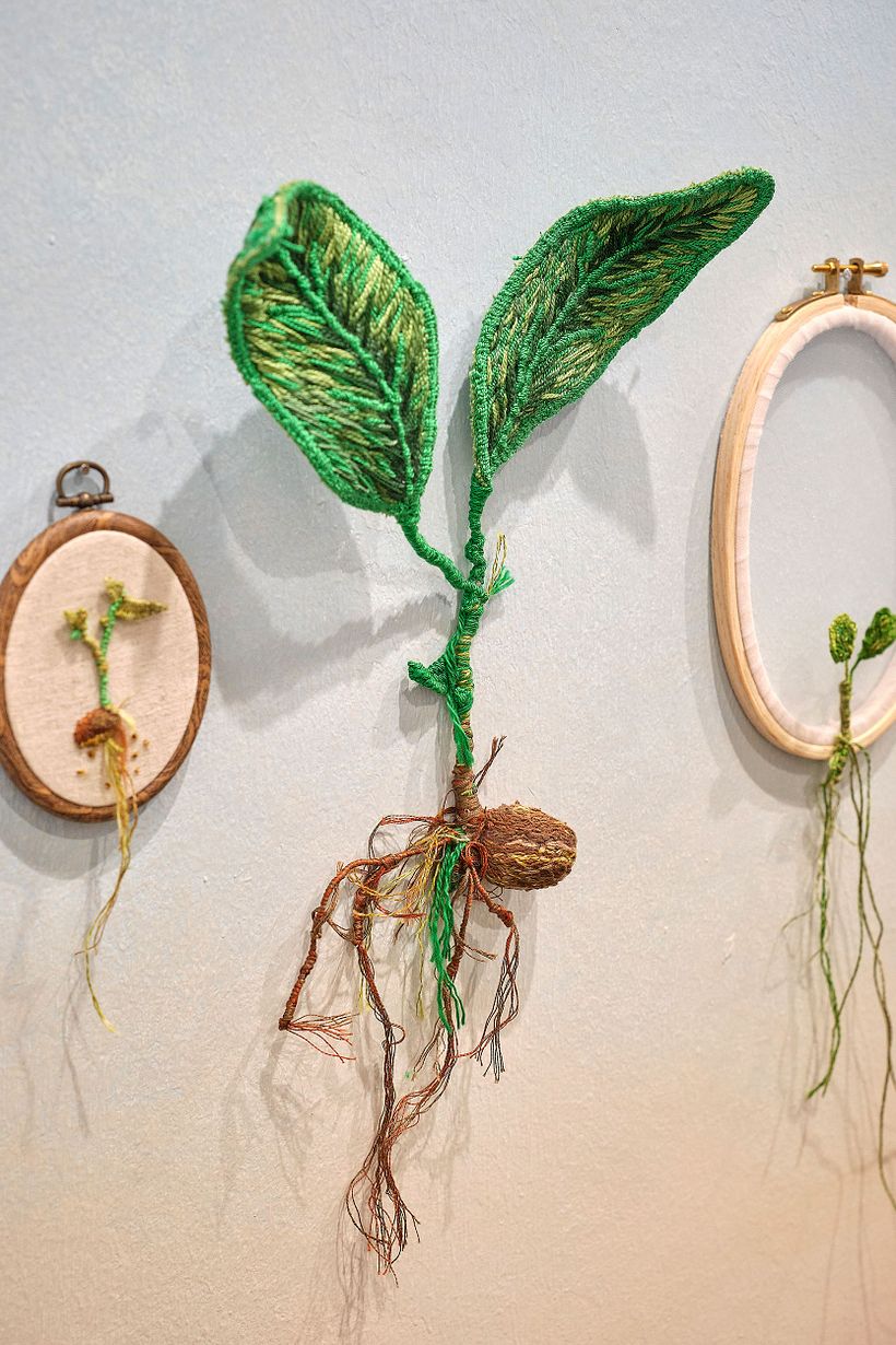 El Jardín del Tiempo. Florecer sin prisa 1