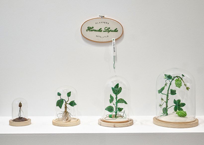 El Jardín del Tiempo. Florecer sin prisa 3