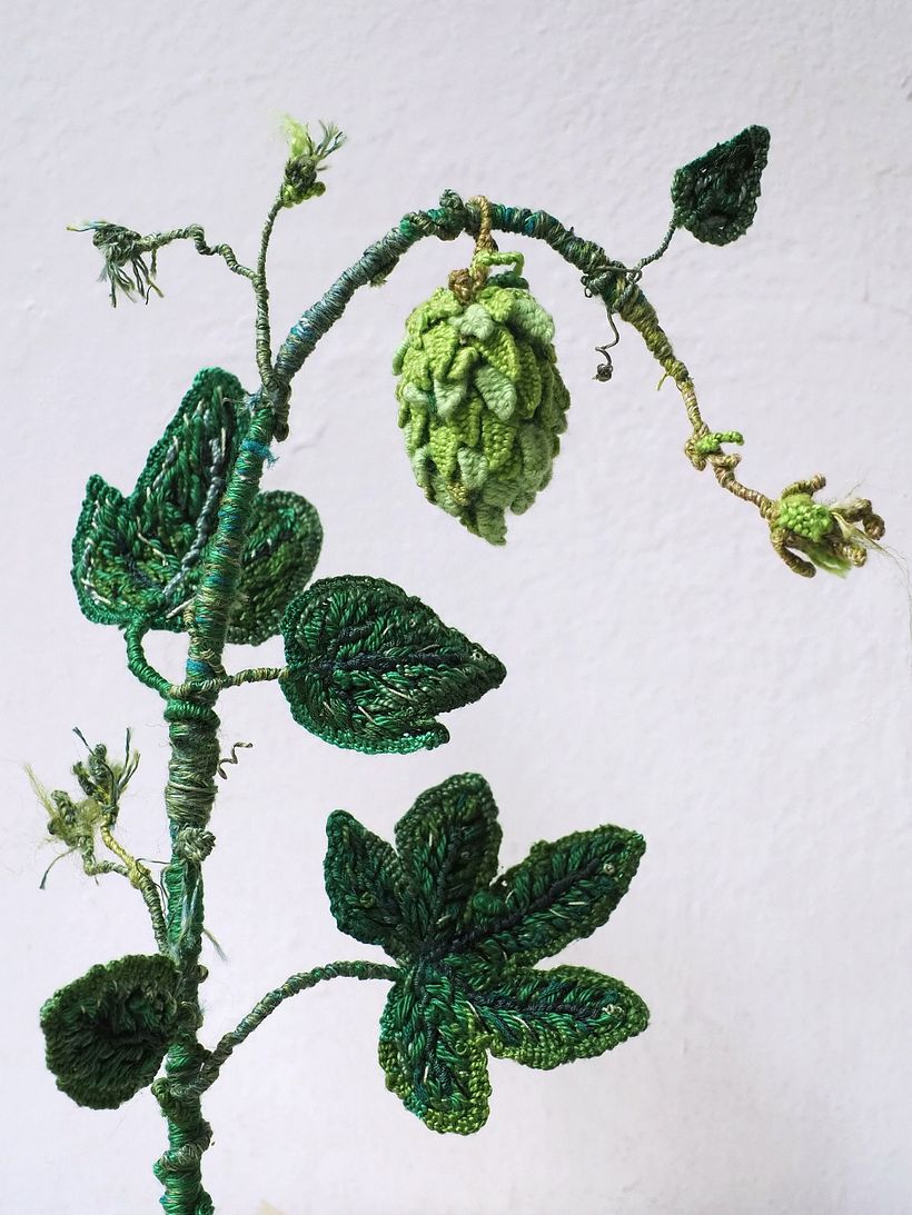 El Jardín del Tiempo. Florecer sin prisa 6