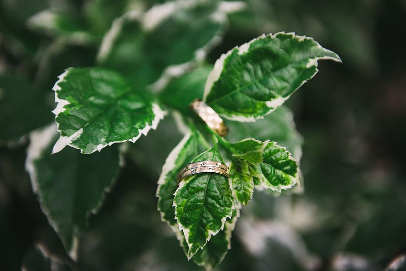My project for course: Beginner’s Photography: Basic Camera Use and Theory 2