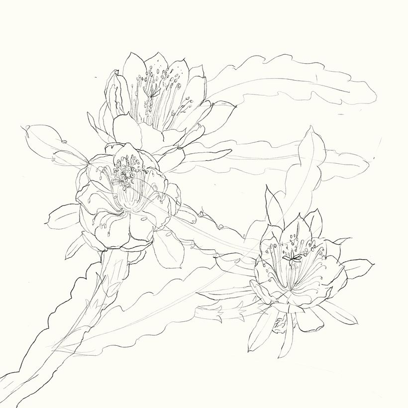 Patterns and applications 3