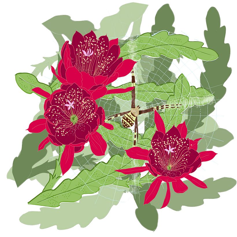 Patterns and applications 8