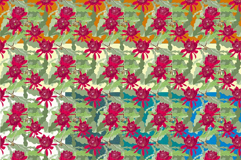 Patterns and applications 13