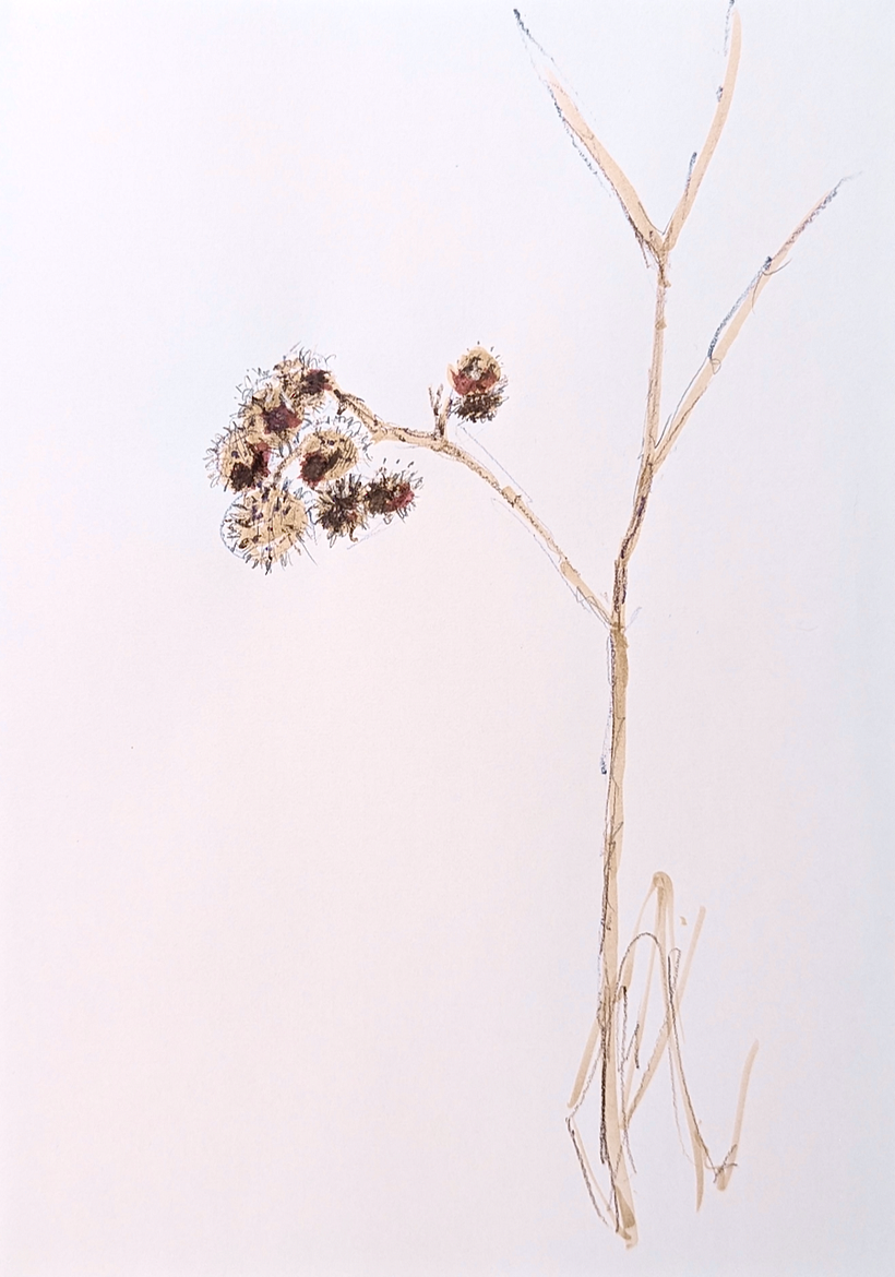 Plants by the river 3