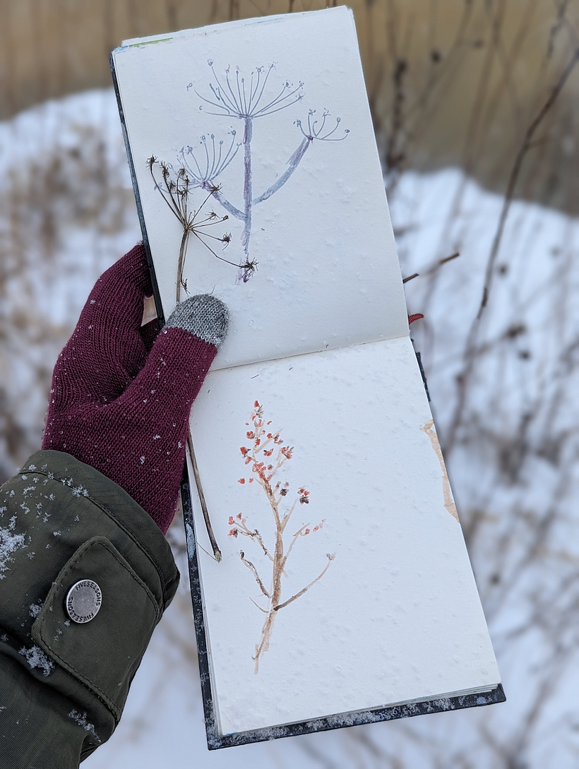 Plants by the river 1