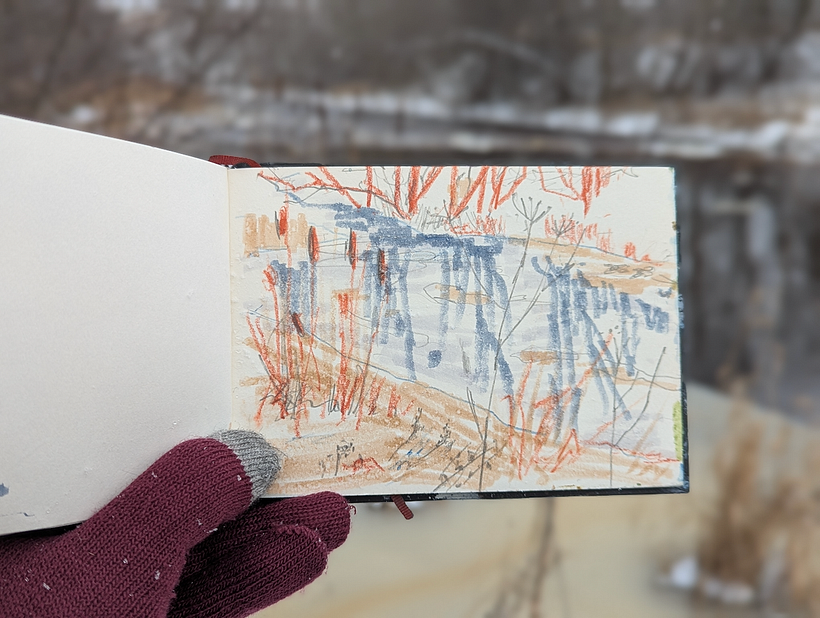 Plants by the river 1