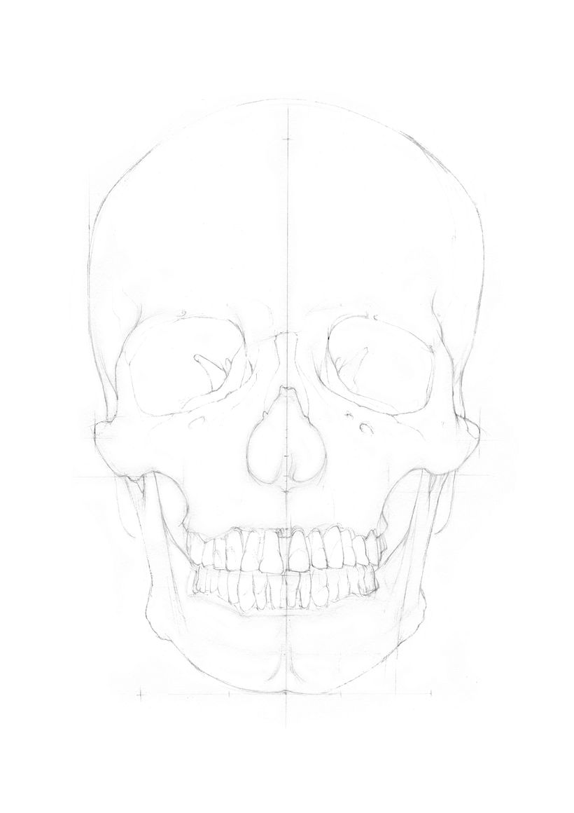 Human Skull - Final Project "Intro to Anatomy Drawing with Graphite Pencil" 1